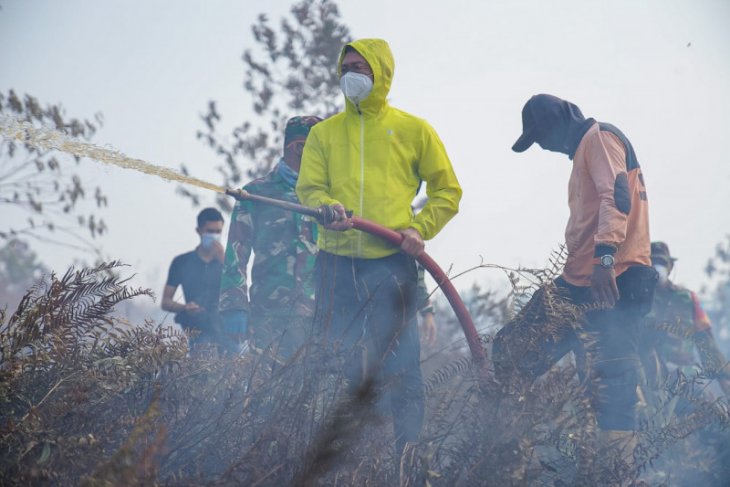 40 hektare lahan gambut di Kota Pontianak terbakar