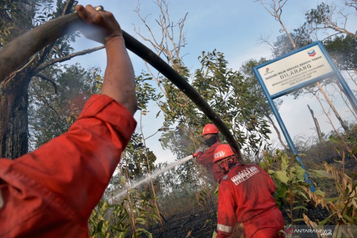 Manajemen Chevron bantah hutan lindung perusahaan di Riau terbakar