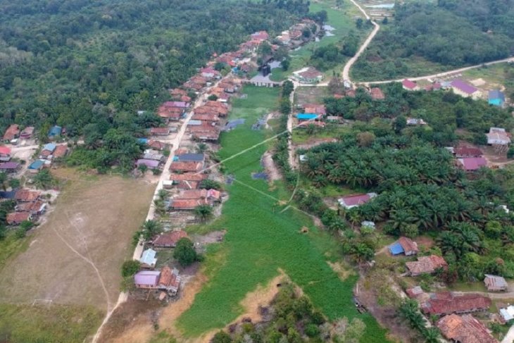 Kanal kuno Muarajambi dipenuhi gulma