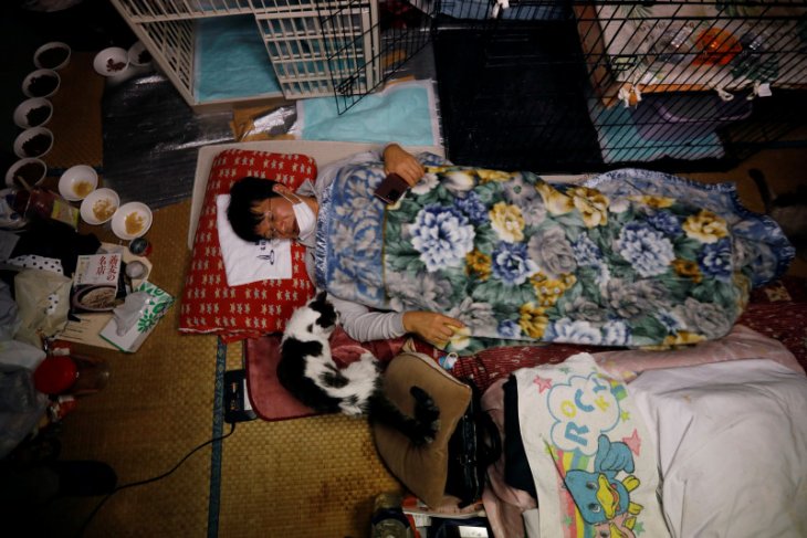 Pria ini selamatkan kucing terlupakan di zona nuklir Fukushima