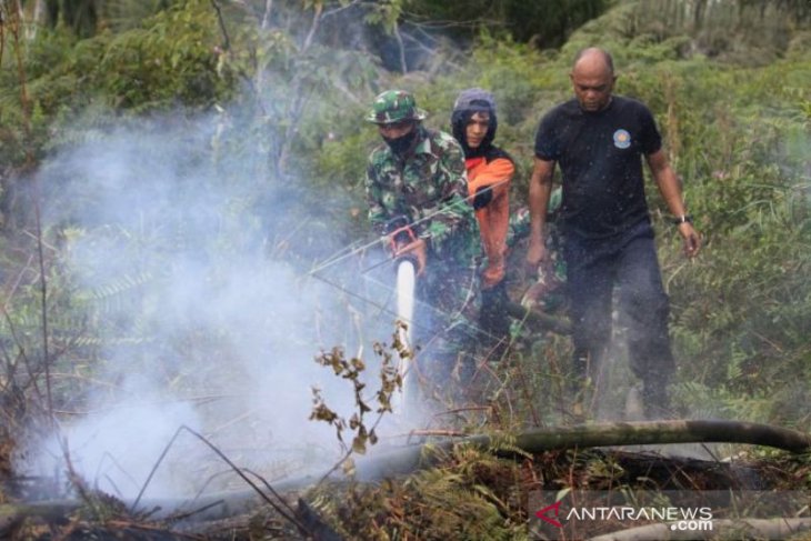 Polisi selidiki penyebab karhutla 17,5 hektare di Nagan Raya