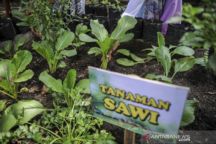 Gerakan peduli stunting di Bandung 