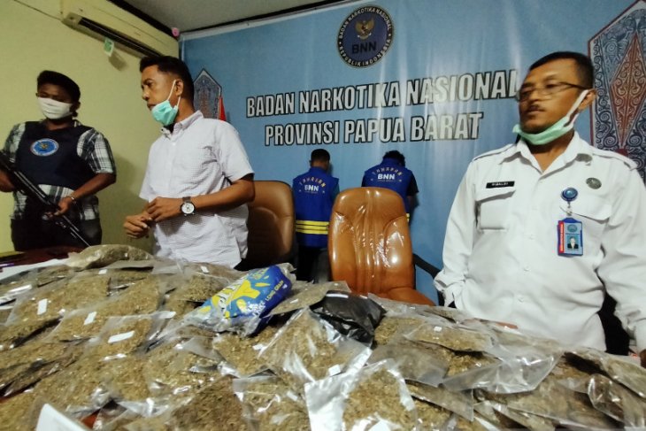BNNP Papua Barat musnahkan dua kilogram ganja kering di Sorong