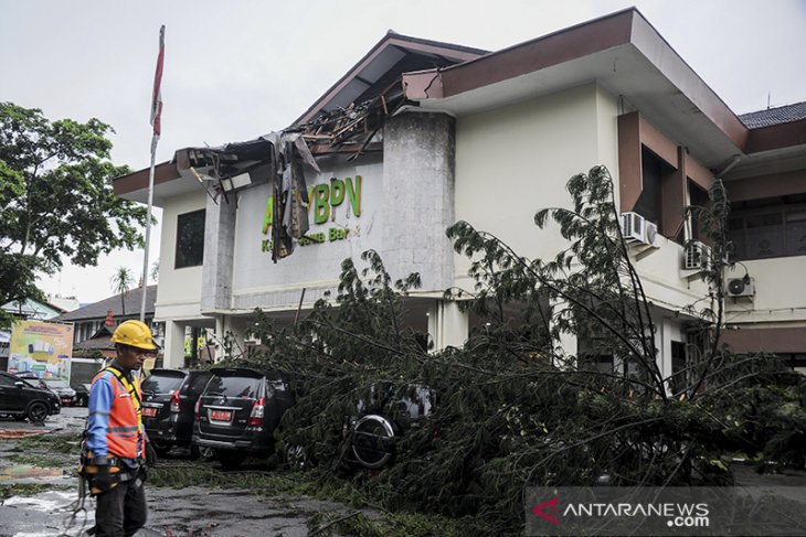 Pohon tumbang akibat angin kencang di Bandung 