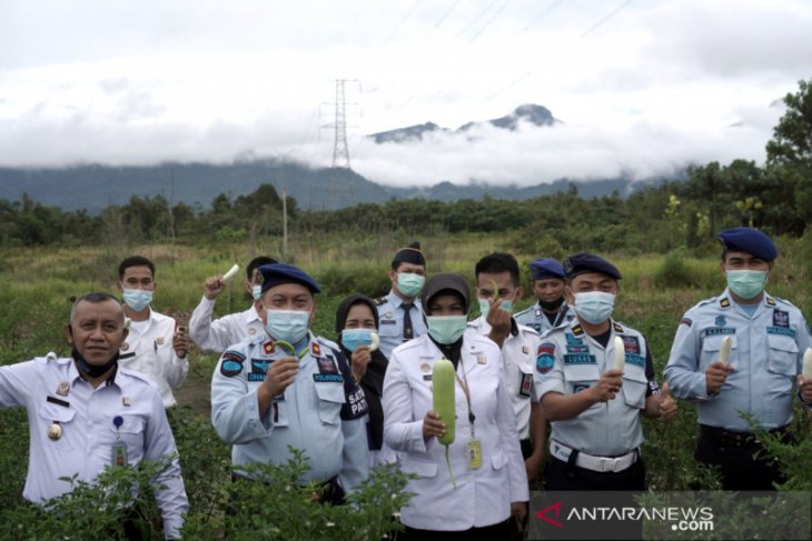 Rutan Bengkayang gandeng warga binaan kembangkan sektor pertanian