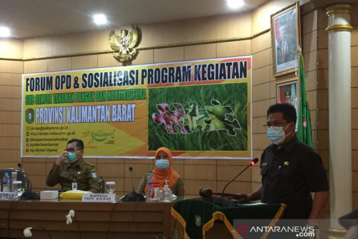 Sekda Kalbar harapkan sinergisitas antardaerah dalam bidang pertanian