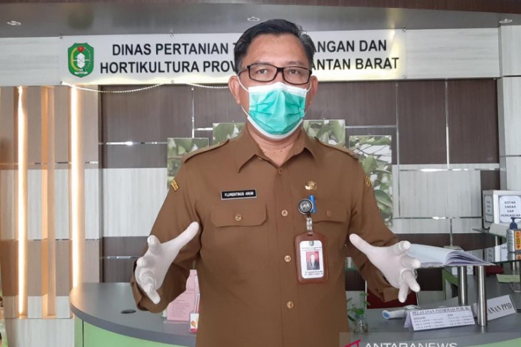Dinas Pertanian TPH Kalbar sasar mahasiswa jadi petani milenial
