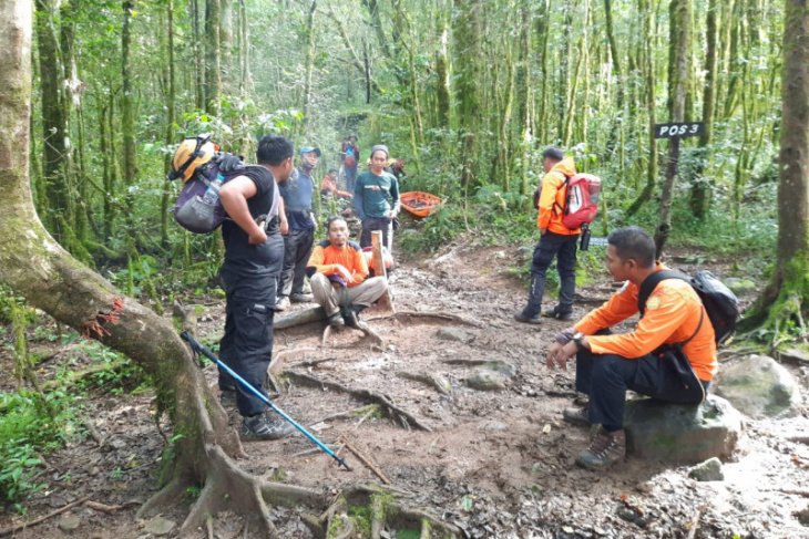 Basarnas kerahkan tim evakuasi pendaki terjatuh ke jurang