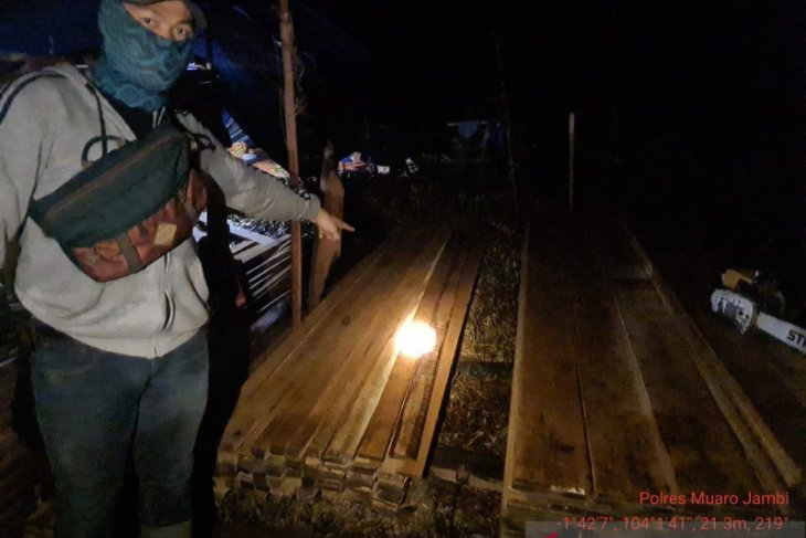Tim gabungan temukan peralatan pembalakan liar di kawasan hutan Muarojambi