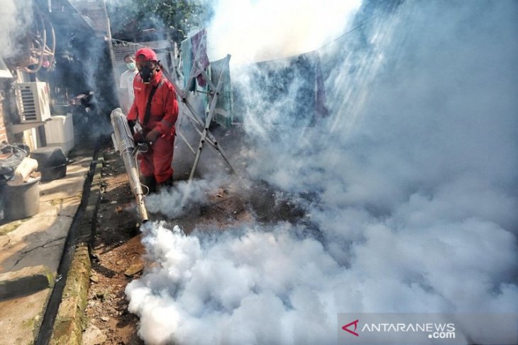Dinkes Ambon dorong partisipasi warga untuk menekan penyakit DBD