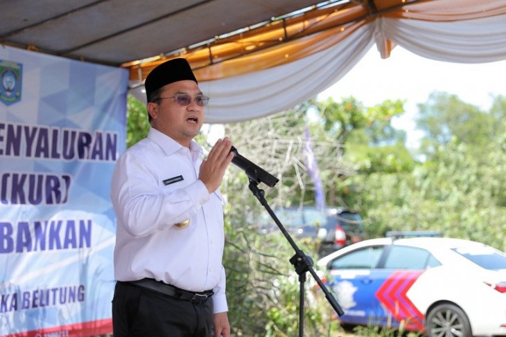Gubernur Babel kecam pengusaha asing oplos lada putih