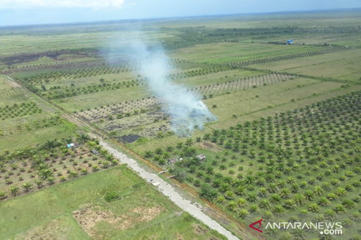 Titik api di Ketapang berasal dari pembakaran lahan