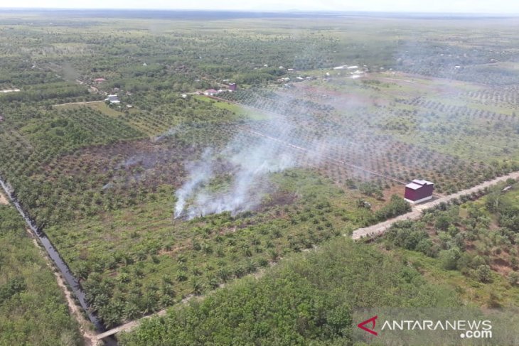 Titik api di Ketapang berasal dari pembakaran lahan