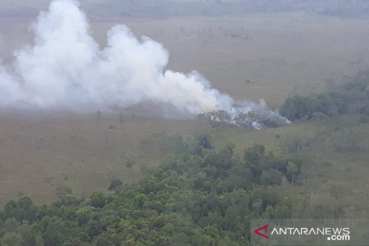 Titik api di Ketapang berasal dari pembakaran lahan