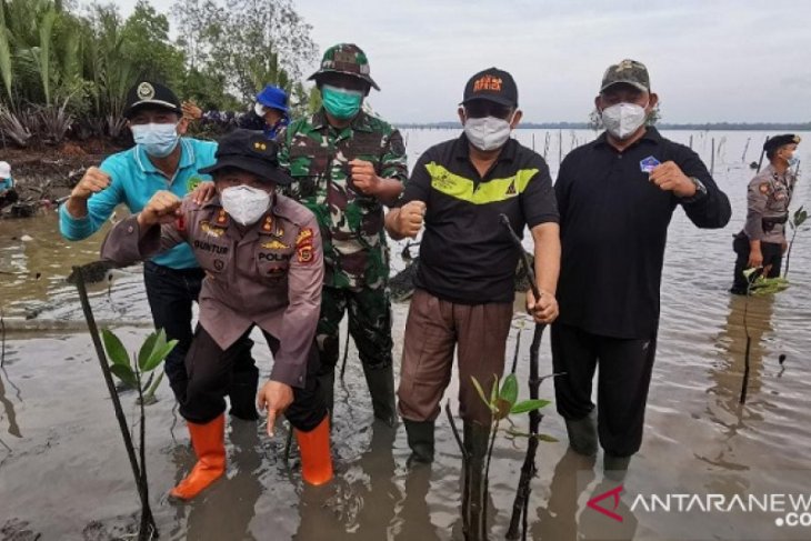 Bupati Tanjabbar bersama Kapolres tanam mangrove dan pohon pelindung cegah karhutla