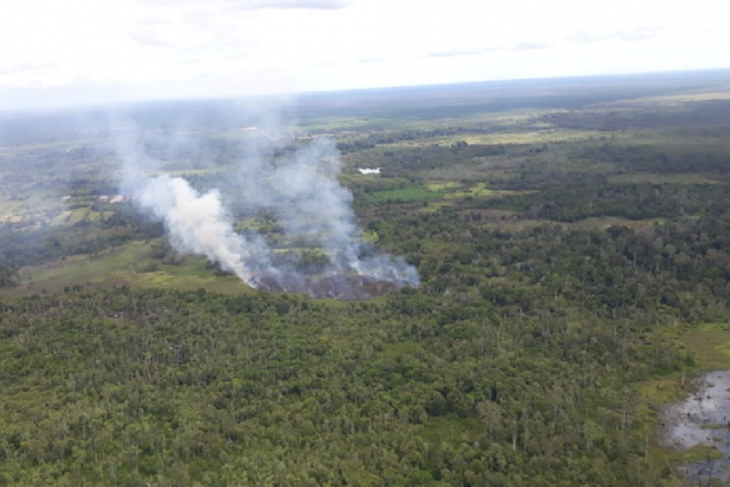 Lahan yang terbakar di Kabupaten Ketapang