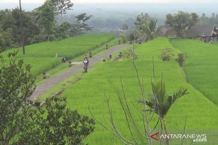 Tabanan siapkan tiga destinasi wisata untuk terima wisman pada Juli (video)