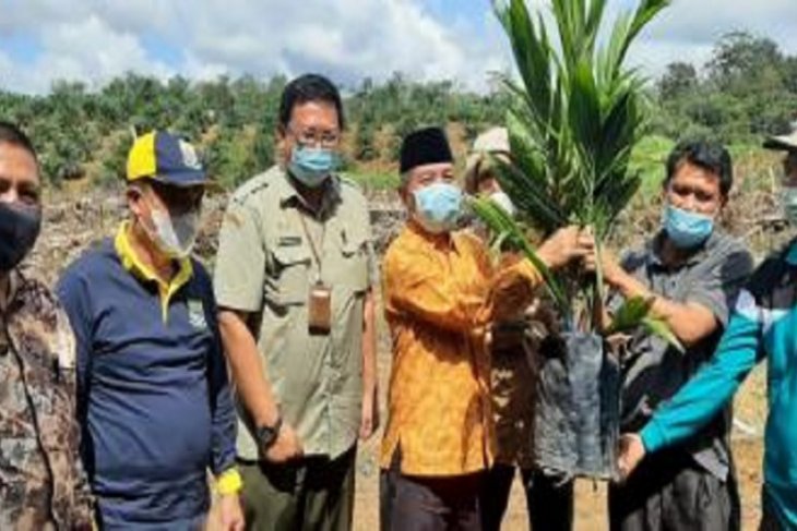 Wabup Mashuri berharap Program Pembukaan Lahan Tanpa Bakar dialokasikan berkelanjutan