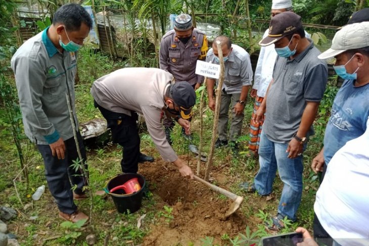 Polres Merangin bersama warga tanam bibit tanaman produktif dibekas lokasi Peti