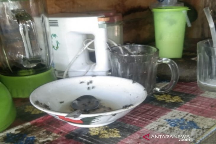 Ribuan lalat muncul di pemukiman warga di Desa Sikapas Madina