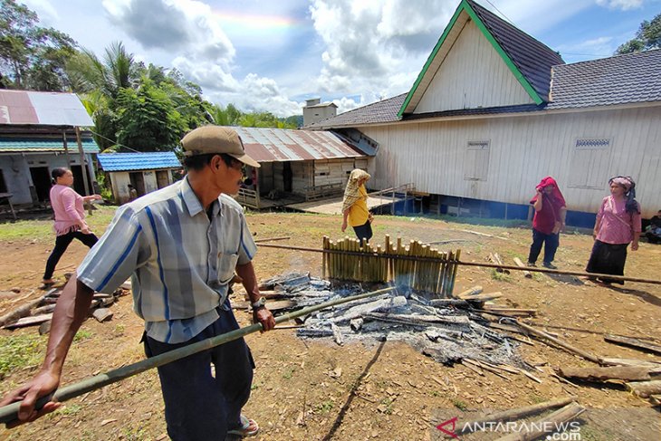 Tradisi Membatur Suku Dayak Pitap