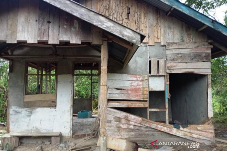 Kebun warga rusak akibat diinjak gajah liar