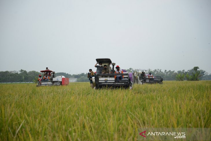 Kunjungan Kerja Mentan di Jombang