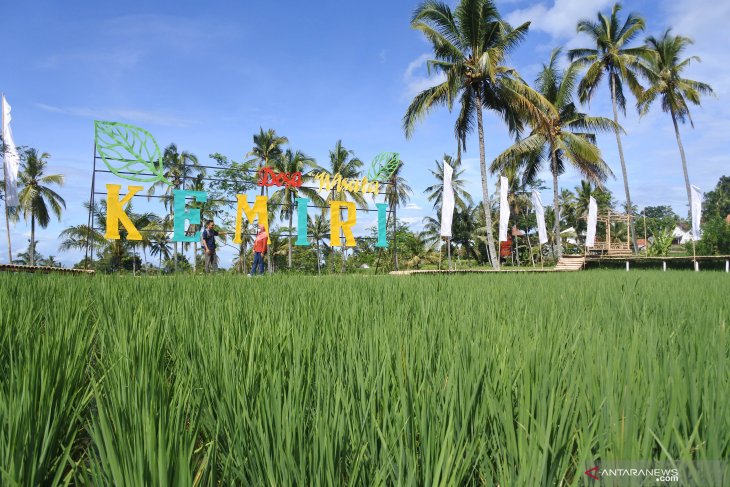 Desa Wisata Kemiri Jember