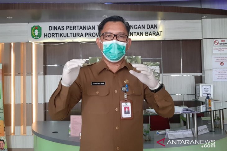 Dinas Pertanian Kalbar pastikan kelancaran distribusi pupuk subsidi