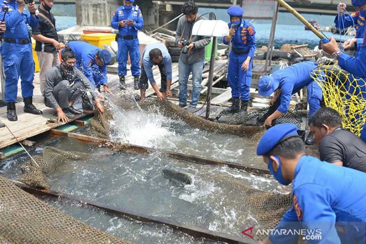 Aceh Tamiang kembangkan budi daya perikanan darat
