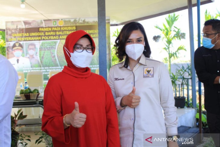 Maria Lestari dukung inovasi sektor pertanian di Kalbar