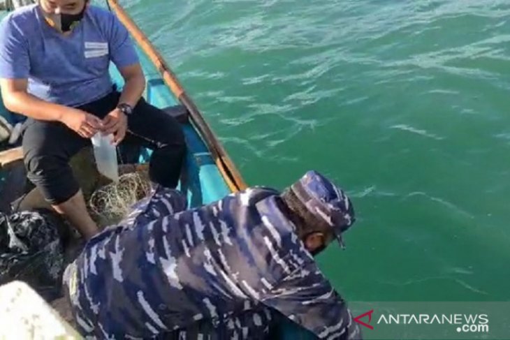 HNSI minta Pemkab Sukabumi bangun fasilitas pengembangan benur lobster air laut