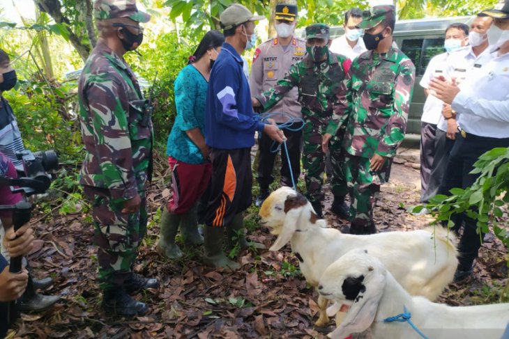 Efek Domino TMMD Jembrana, dari Sentra Perkebunan hingga Peternakan Kambing