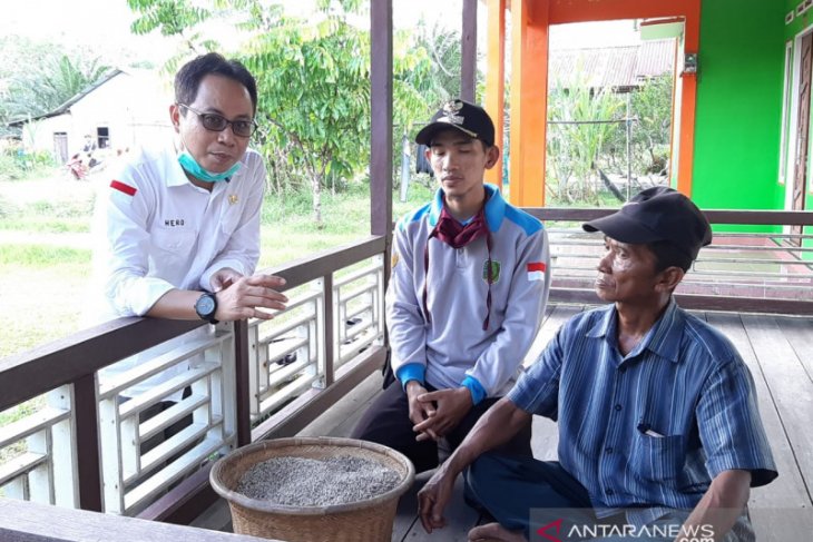 Harga lada mulai naik di Kalbar capai Rp60.000 per kilogram
