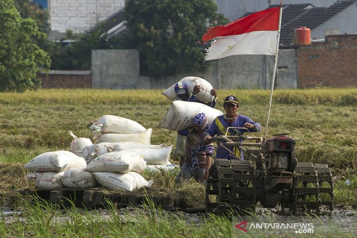 Upaya peningkatan kesejahteraan petani 