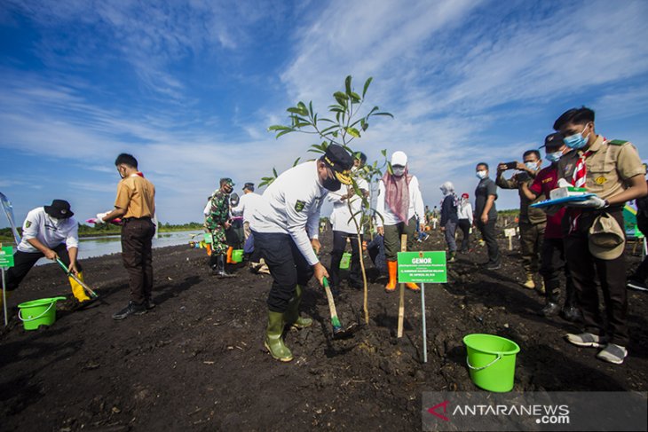 PJ Gubernur  Kalsel Tanam Pohon