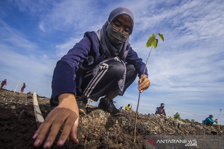 Penanaman Satu Juta Pohon Di Kalsel