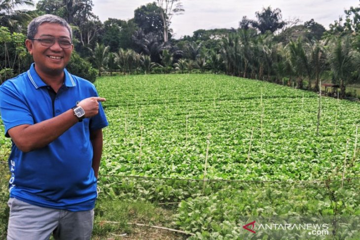 DPMPD Kaltim ajak kades gandeng BUMDes majukan pertanian