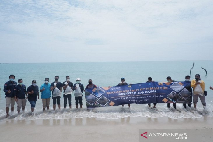 Kementerian ESDM apresiasi PT Timah kembangkan