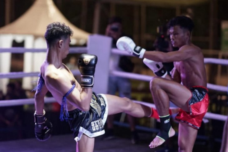 Kejuaraan muay thai