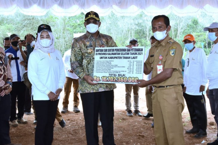 Penjabat Gubernur hadiri program peremajaan sawit rakyat 3.500 hektare