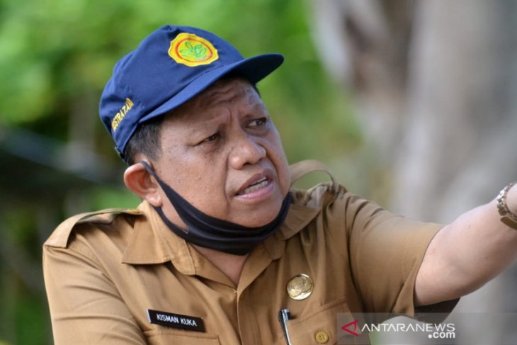 Gorontalo Utara optimalkan pengembangan jagung hibrida