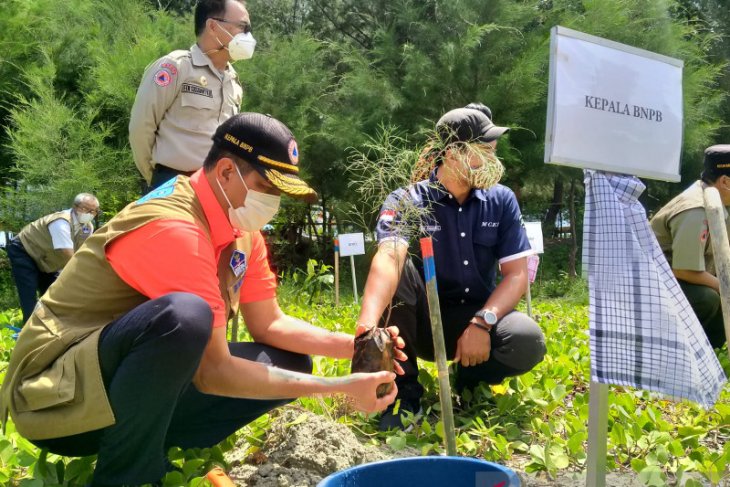 BNPB minta Pemprov Bengkulu teliti segmen megatrhust Enggano