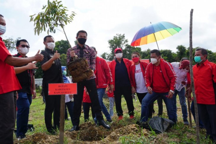 Bupati Kapuas Hulu dukung gerakan menanam pohon PDI Perjuangan