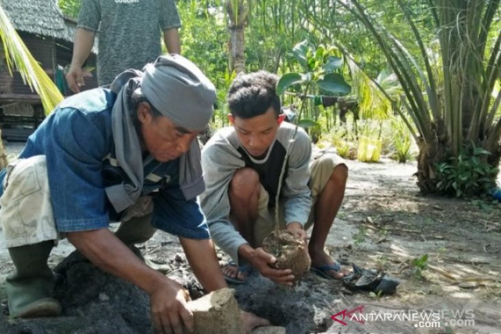 UPTD KPHP di Babel diberi amanah tanam mangrove 2.240 hektare