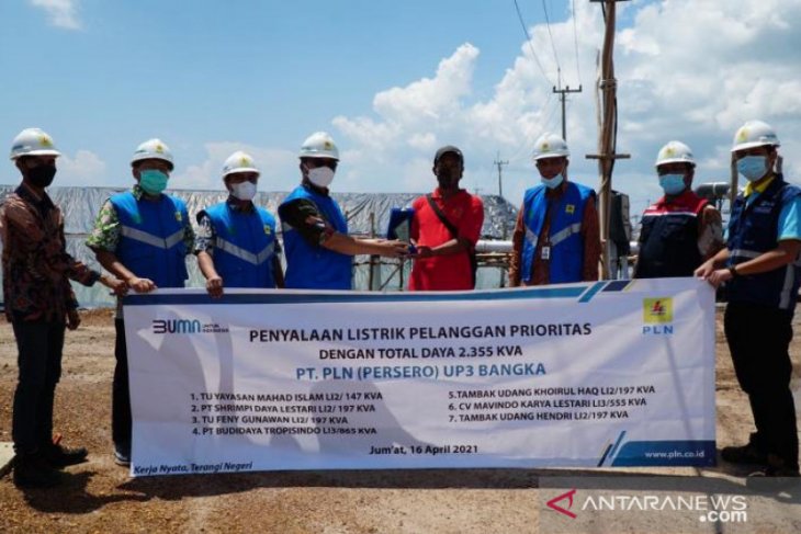 Tingkatkan Produktivitas, PLN Babel Penuhi Kebutuhan Listrik untuk 7 Tambak Udang di Bangka