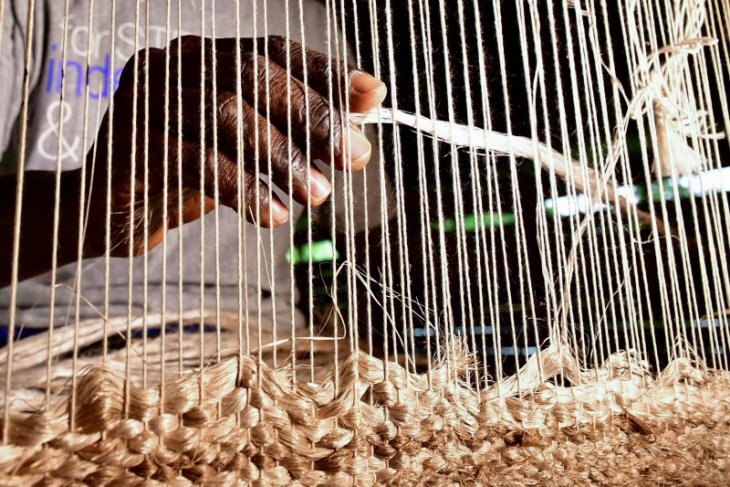 Perusahaan rintisan Uganda memanfaatkan limbah pisang