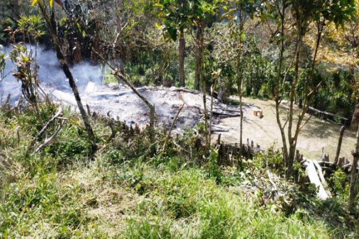KKB Beoga bakar honai dan tiga rumah guru