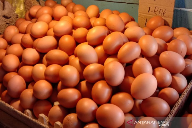 Harga telur ayam ras di pasar Ambon naik