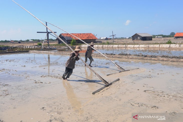 Persiapan Musim Olah Garam